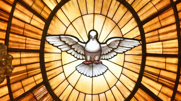 WHEELERS HILL PARISH: : Confirmation